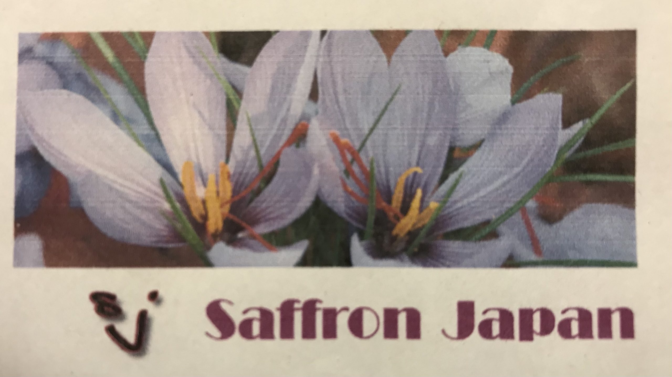 saffron-japan